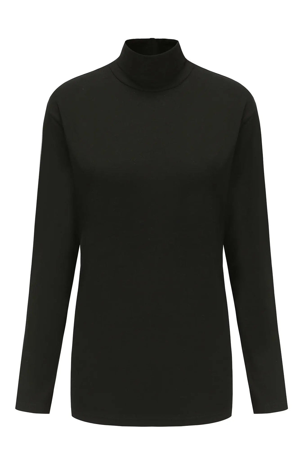 Long Sleeve Turtleneck Shirt
