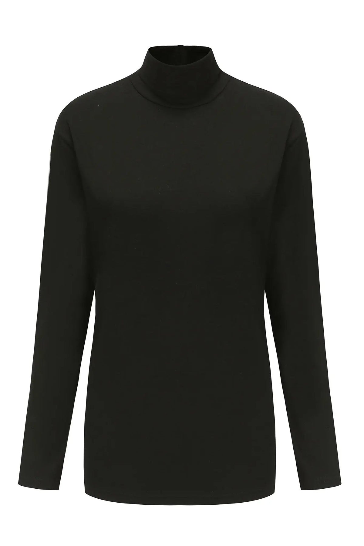 Long Sleeve Turtleneck Shirt