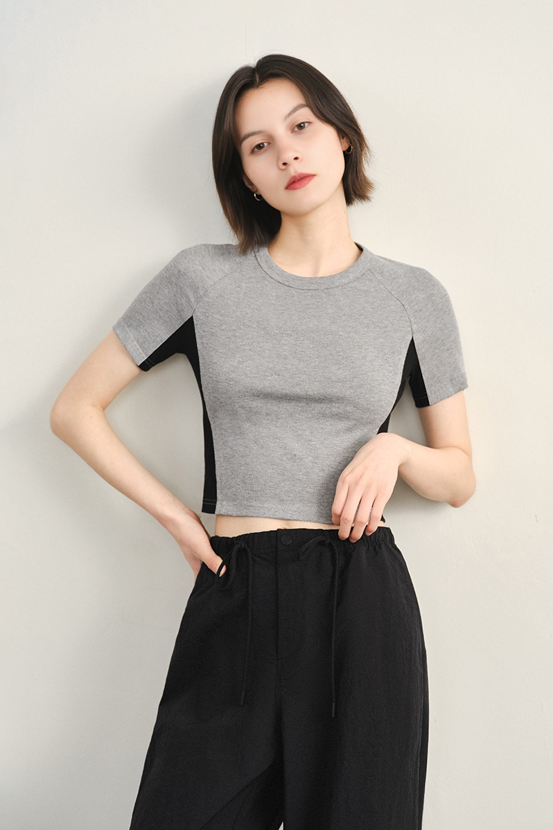 Stretchy Ribbed Crewneck Colorblock Cropped T-Shirt